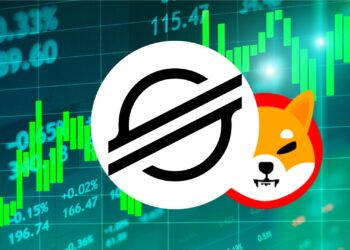 Stellar's XLM Rockets 180%, Surpasses Shiba Inu in Market Cap