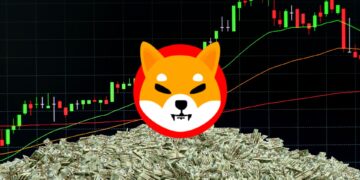 The $3,800 Gamble That Paid Off Big: The SHIB Story
