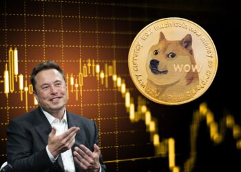 The Impact of Elon Musk on Dogecoin's Price