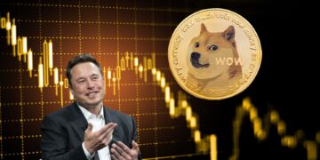 The Impact of Elon Musk on Dogecoin's Price