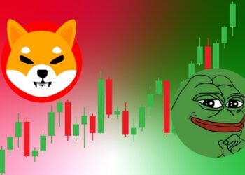 The Rise of Pepe: A Threat to SHIB's Dominance