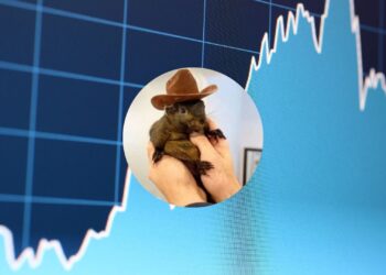 The Squirrel That Took Over Crypto: PNUT