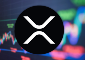 XRP Hits Two-Year High as Google Interest Spikes to 3 Year High