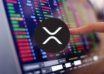 XRP Momentum Soars, But What’s Driving Its Rally?