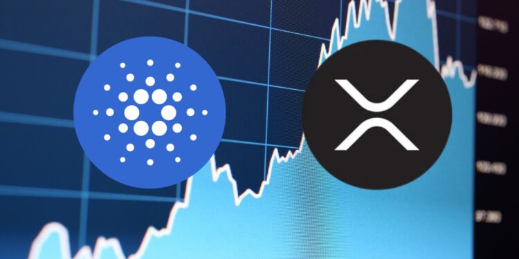 Xrp and Ada Surge: a New Era for Crypto