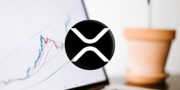 XRP's Unexpected Rally: A Bullish Outlook