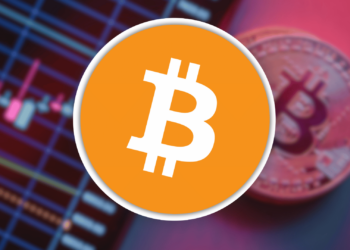 You Still Have Time to Hop on the Bitcoin Wave Before its Too Late