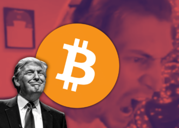 xQc Loses Over $700,000 in Bitcoin Betting on Donald Trump to Lose the 2024 Presidential Election