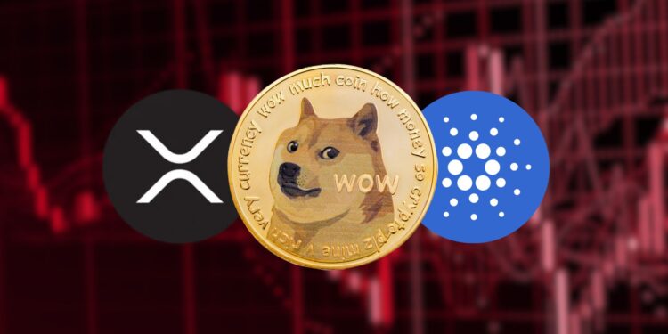 Analyzing the $1.2b Crypto Liquidation: Xrp, Doge, and Ada