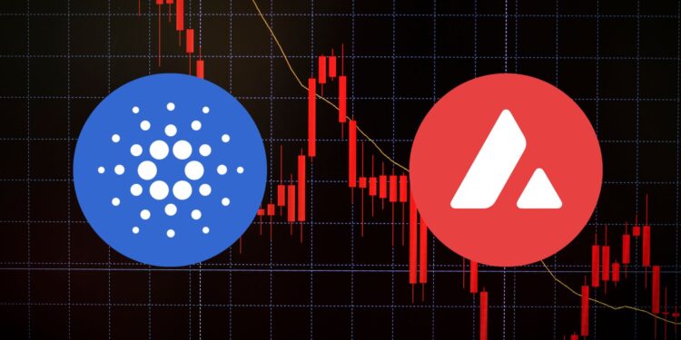 Cardano and Avalanche: Declining Prices and Bearish Sentiment