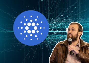 Cardano's Governance Overhaul: A Community-Driven Future