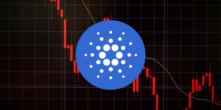 Cardano's Plummet: a 47% Drop Predicted