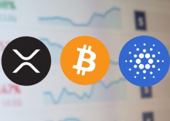 Crypto Market Stabilizes: XRP and Cardano Surge, Bitcoin Holds Strong
