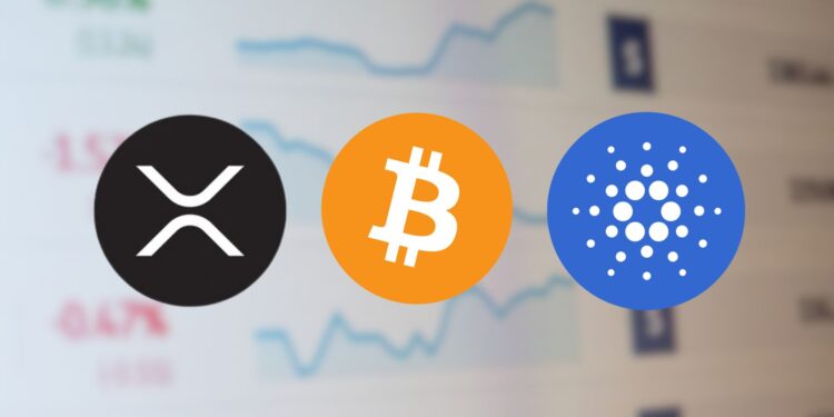 Crypto Market Stabilizes: Xrp and Cardano Surge, Bitcoin Holds Strong