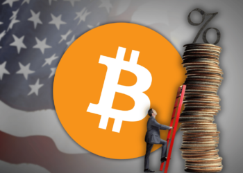 Crypto and Equities Surge Despite Inflation Increasing in November What Does This Mean