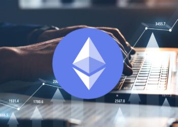 Ethereum Whale Wallets Hit Record High: A Bullish Indicator
