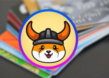 Everything You Need to Know About the FLOKI Debit Card