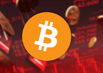 Investors Panic as Bitcoin Drops Below $95K Amid Two Week Lose Streak