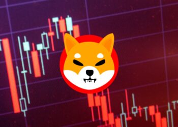 Is Shiba Inu's Bull Run Over? A Look at the Recent Decline