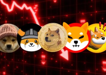 Meme Coin Bloodbath: BONK, FLOKI, WIF, SHIB, and DOGE Plummet