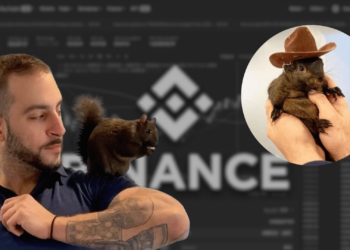 Peanut the Squirrel Owner Sues Binance Over PNUT Meme Coin Listing