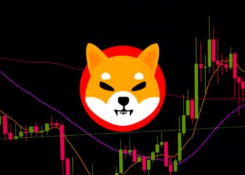 SHIB Breaks Resistance: Can It Reach Its All-Time High?
