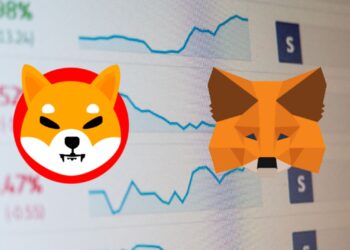 Shiba Inu Cracks Top 5 on MetaMask