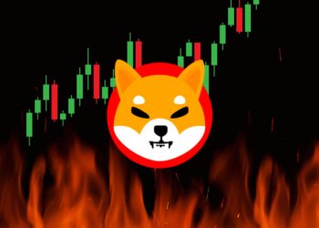 Shiba Inu's 250M Token Burn: A Bullish Signal