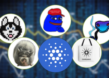 The Hottest Cardano Meme Coins You Should Keep an Eye On