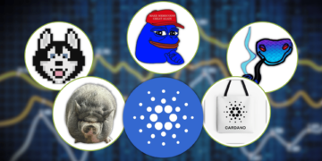 The Hottest Cardano Meme Coins You Should Keep an Eye On