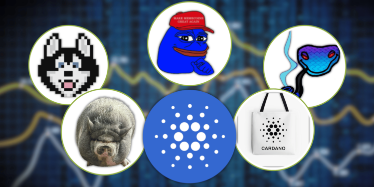 the Hottest Cardano Meme Coins You Should Keep an Eye on