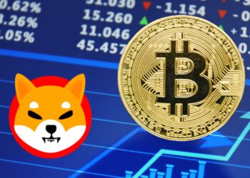 The Impact of Bitcoin's 115K Milestone on SHIB's Price