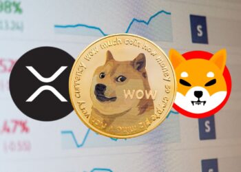 The State of XRP, DOGE, and SHIB: A Market Analysis