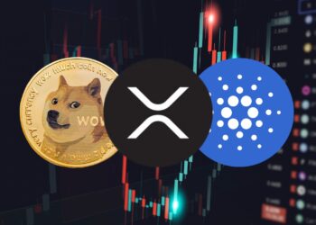 XRP, DOGE, and ADA: Facing a Challenging End to 2024