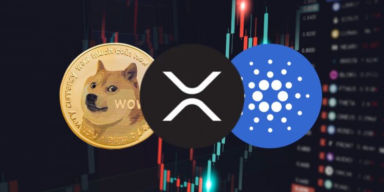 Xrp, Doge, and Ada: Facing a Challenging End to 2024