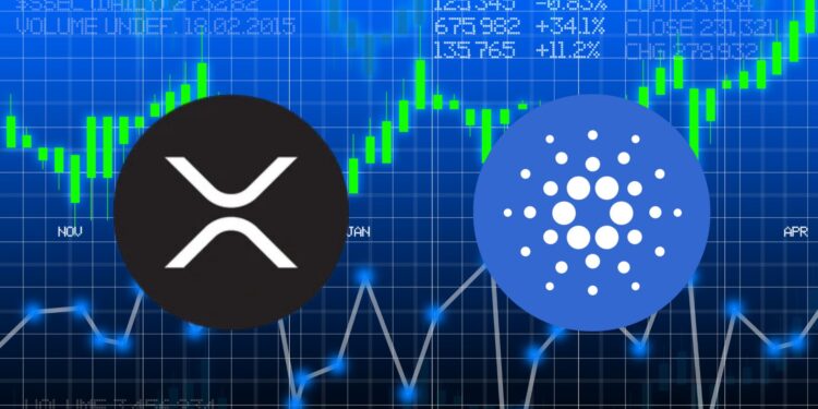 Xrp and Ada Surge: New Year, New Highs