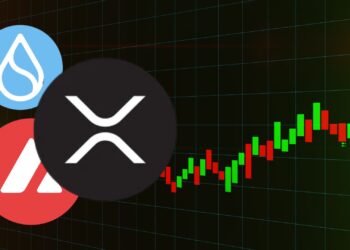 XRP and Altcoins See Massive Liquidation Spike; What's Next?