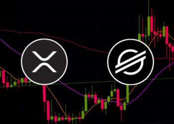 XRP and XLM Lead the Crypto Charge