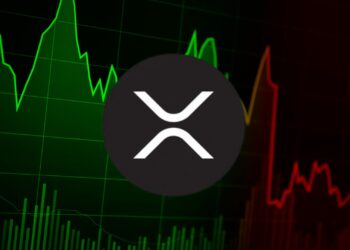 XRP's Recent Crash and Rebound: What's Next?