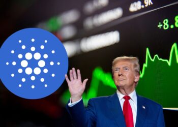 ADA Soars: Whales Accumulate Ahead of Trump's Inauguration