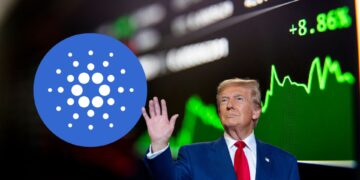 ADA Soars: Whales Accumulate Ahead of Trump's Inauguration