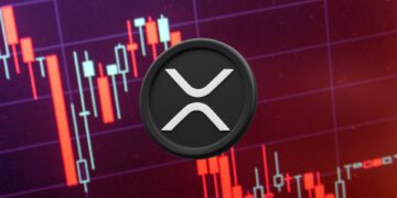 Assessing XRP's Future: Can it Rebound from the Recent Decline?