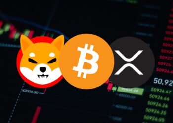 Bitcoin, Shiba Inu, and XRP: Facing a Challenging Start to 2025