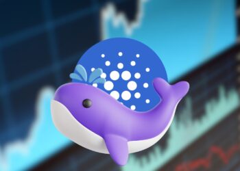 Cardano Whales Feast: 10 Million ADA Accumulated