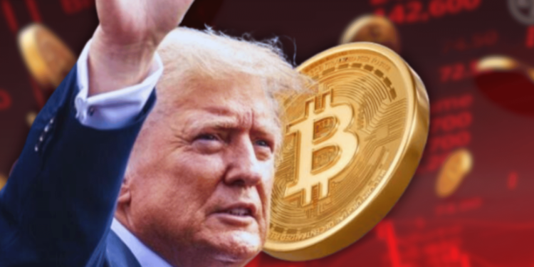 Crypto Market Faces $1.28 Billion Liquidation After Trump's Speech