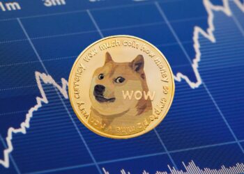 Dogecoin’s Next Big Move: Experts Eye Massive DOGE Targets for 2025
