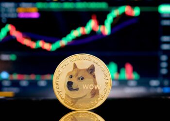 Dogecoin's Whale Activity Sparks Fresh Rally Hopes