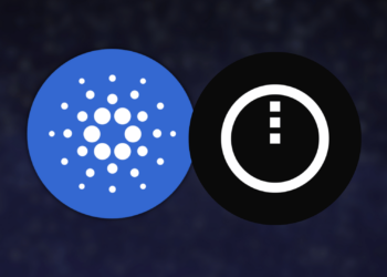 Everything You Need to Know About Cardano's Midnight Airdrop