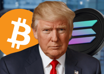 Everything You Need to Know About Donald Trump's New Crypto Working Group