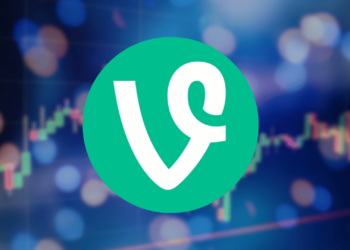 Everything You Need to Know About the Future Potential for VINE